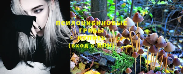 крисы Нефтегорск