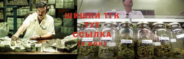 крисы Нефтегорск