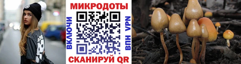 Галлюциногенные грибы Psilocybine cubensis купить закладку Осташков